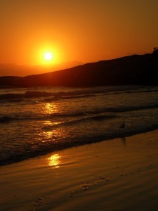 2275970401_ed6b0acfc4_o